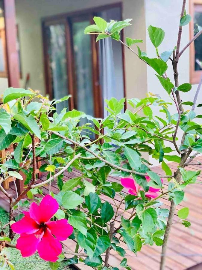 Vila Casa Hibiscus Velha Boipeba Exteriér fotografie